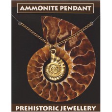 Ammonite Pendant - Gold Plated