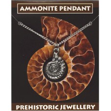 Ammonite Pendant - Pewter
