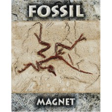 Bird Fossil Magnet