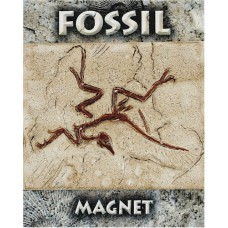 Bird Fossil Magnet