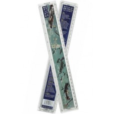 Battle of Britain History Ruler - 30cm