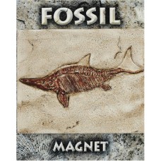 Ichthyosaur Fossil Magnet