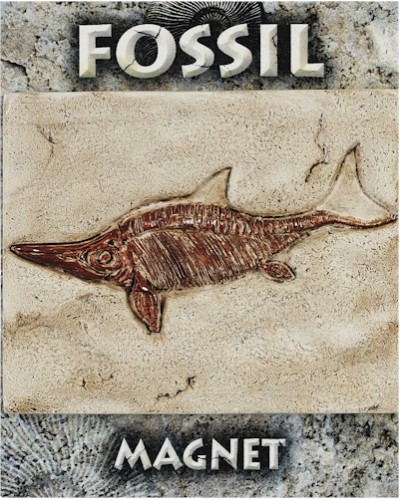 Ichthyosaur Fossil Magnet