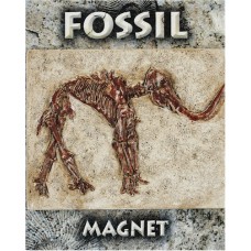 Mammoth Fossil Magnet