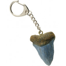 Megalodon Tooth Key-Ring