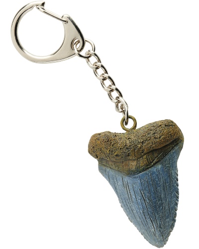 Megalodon Tooth Key-Ring