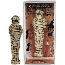 Egyptian Mummy