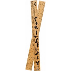 Natural History Ruler - 30cm