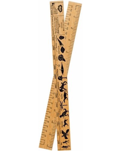 Natural History Ruler - 30cm