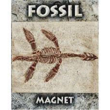 Plesiosaur Fossil Magnet