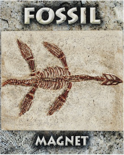 Plesiosaur Fossil Magnet