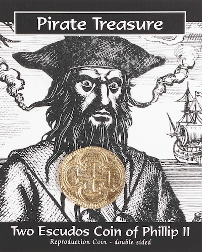 Pirate Treasure Coin Pack