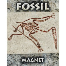 Pterosaur Fossil Magnet