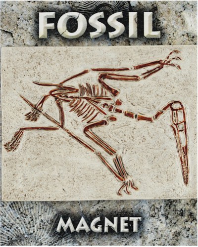 Pterosaur Fossil Magnet