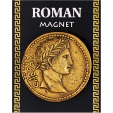 Resin Roman Gold Coin Magnet