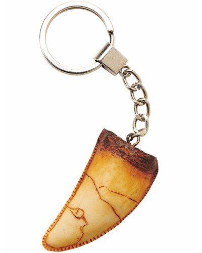 T-Rex Tooth Key-Ring