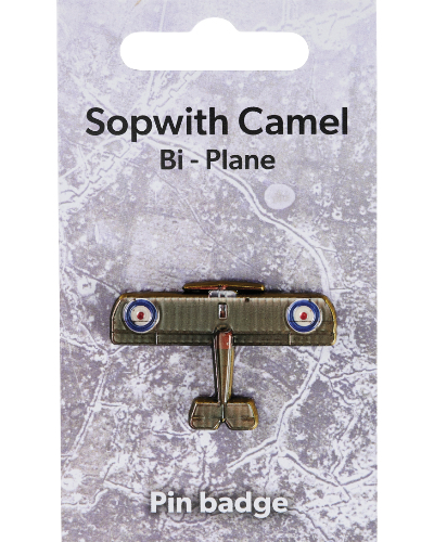 Biplane 3D Pin Badge