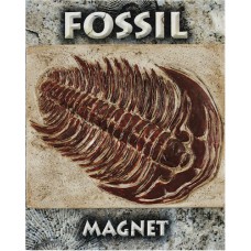 Trilobite Fossil Magnet