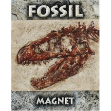 T-Rex Skull Fossil Magnet