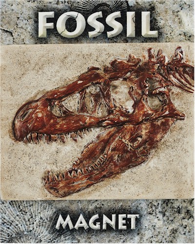 T-Rex Skull Fossil Magnet