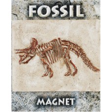 Triceratops Fossil Magnet