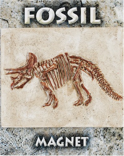 Triceratops Fossil Magnet