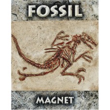Velociraptor Fossil Magnet