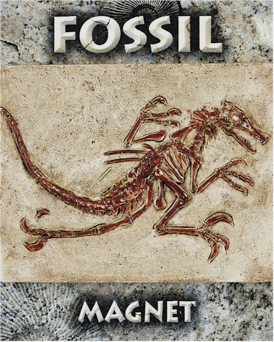 Velociraptor Fossil Magnet