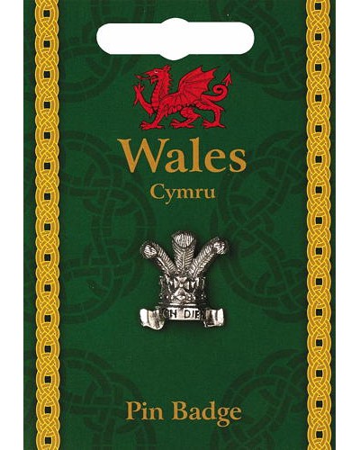 Prince of Wales Feathers Pin Badge - Pewter