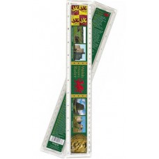 Welsh History Ruler - 30cm